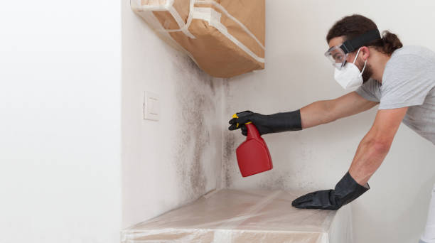 Professional Crawl Space Mold Remediation technician working in Edgewood, MD